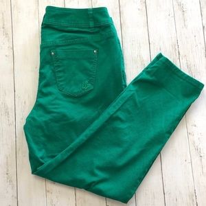 Lane Bryant Green Skinny Jeans
